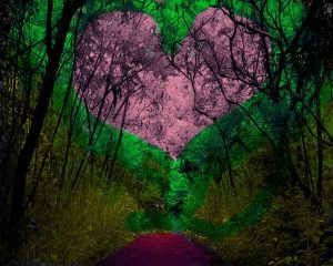 তোমাকে আমি সত্যরূপে দেখেছি