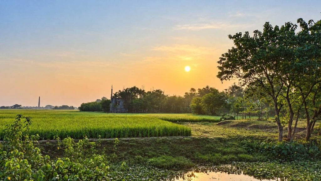 তুমিহীন সকাল — ছবি 1